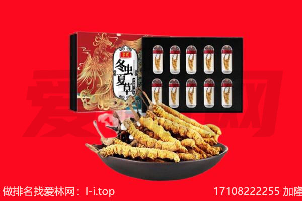 延边州和龙回收虫草.jpg